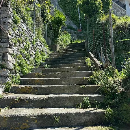 Mamma Rosa Готель типу 