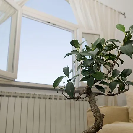 Mamma Rosa Позітано